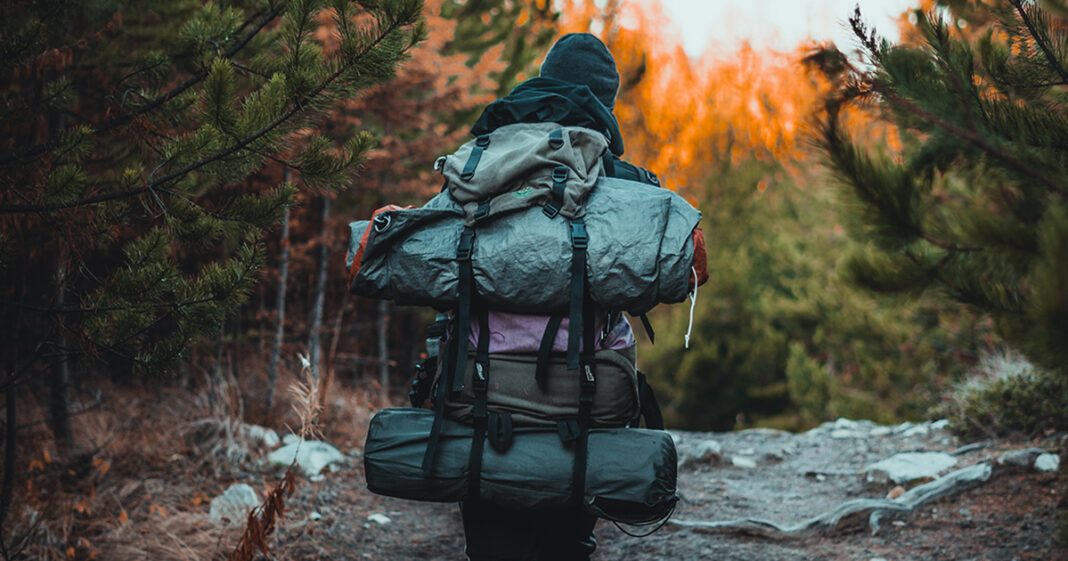 őszi erdőben sétáló sok hátizsákos férfi, csak a háta látszik