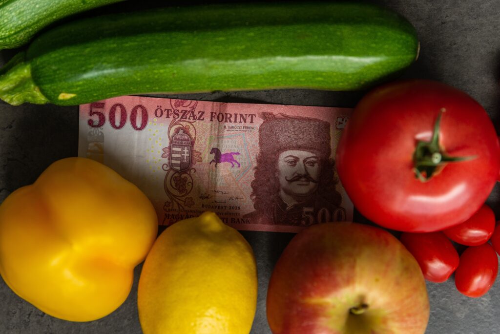 maurer-nagy kinga tiktok