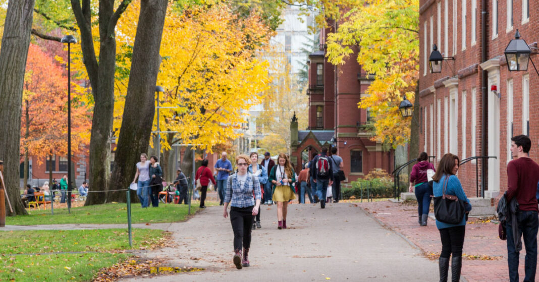 Neked is elérhetők Harvard ingyenes kurzusok