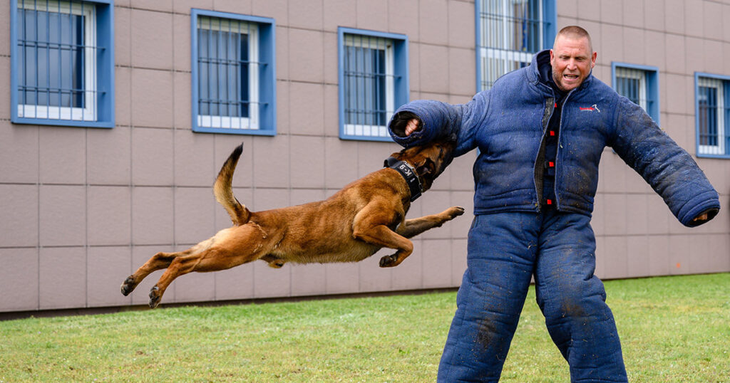 Téged érdekelne börtönőr állás? Most érdemes jelentkezni.