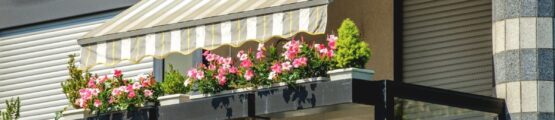 Napfényes balkon színes virágokkal