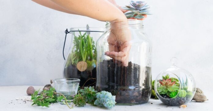 Rengeteg módon hasznosítható egy kiürült befőttesüveg