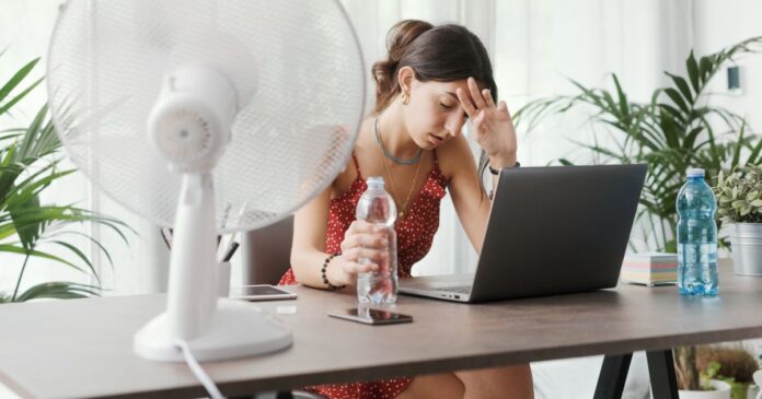 A kánikula mindenkit próbára tesz