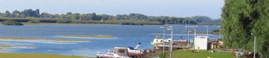 Tisza-tó