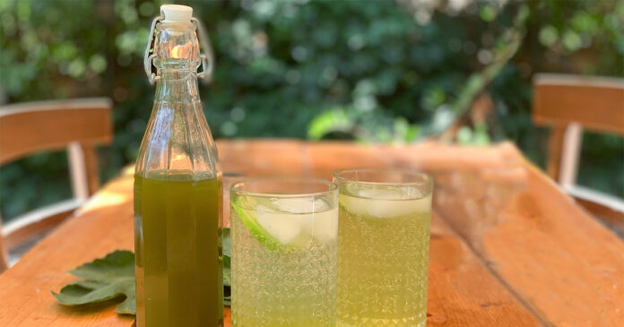 fügefalevél-szörp: olcsó, egészséges és finom