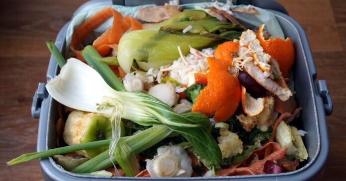 Container,Of,Domestic,Food,Waste,,Ready,To,Be,Collected,By Magyarországon évente 635 ezer tonna élelmiszerhulladék keletkezik a háztartásokban