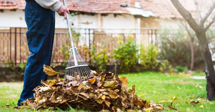 Kötelező feladat kertes házaknál a járda takarítása