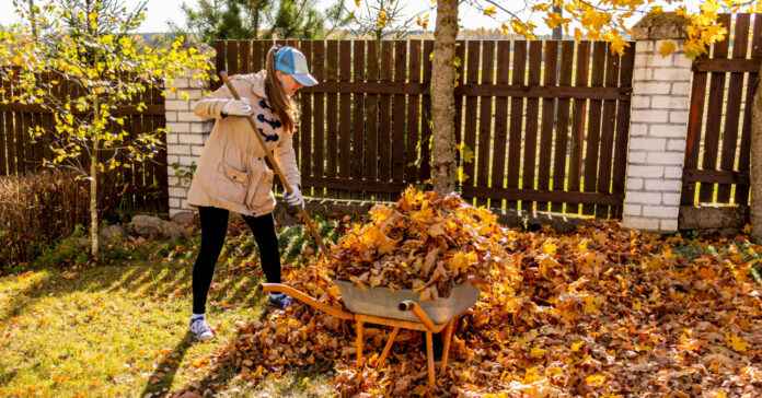 A legjobb kertészkedési tippek őszre