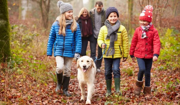 Family,Walking,Dog,Through,Winter,Woodland családi pótlék utalás