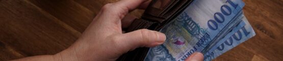 barna pénztárca magyar bankjegyekkel, ezres címletekben