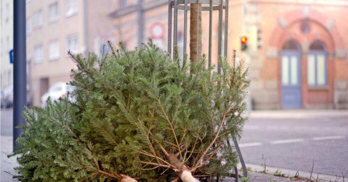 mikor-kell-leszedni-a-karacsonyfat mikor kell leszedni a karácsonyfát