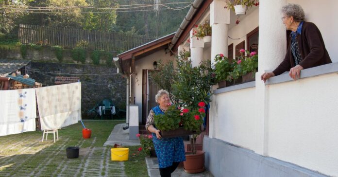 mi az a gondosóra