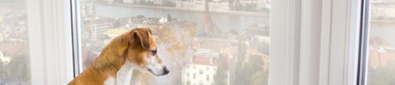 miért marad foltos az ablak