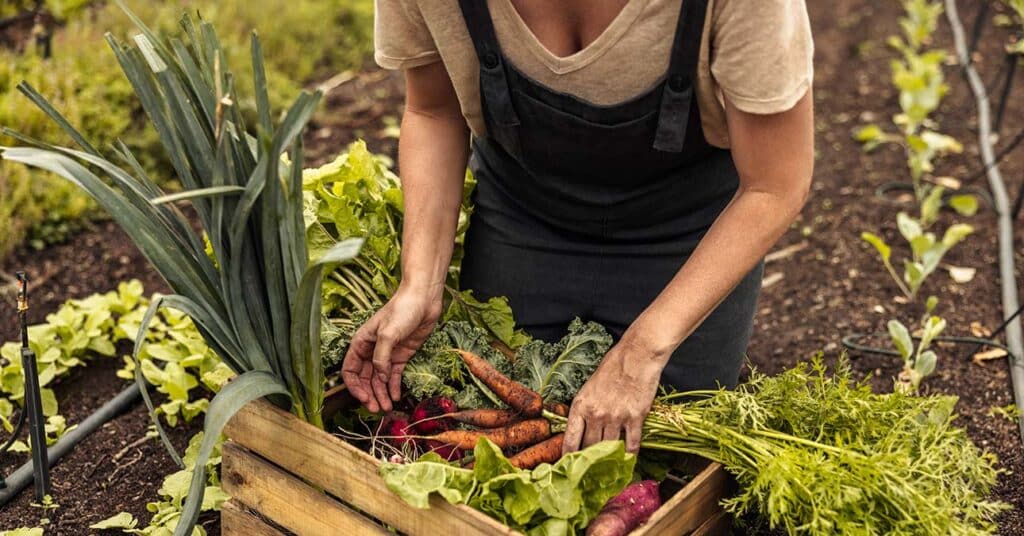 Májusban vethető zöldségek: 5 igénytelen és rengeteget termő finomság