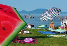 Balatonparti életkép. Fürdőzők és napozók