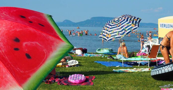 Balatonparti életkép. Fürdőzők és napozók