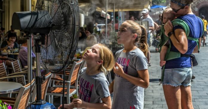 védekezés a kánikula ellen