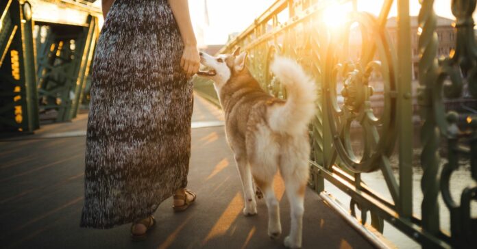 Naplementében sétáló hölgy a kutyájával