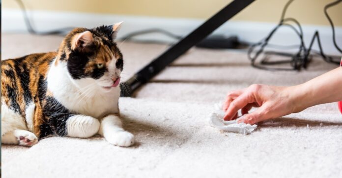 nagyon koszos szőnyeg tisztítása házilag