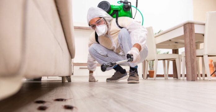 A lakásban dolgozik a kártevőirtó védőruhában, védőszemüvegben , arcát maszk takarja.