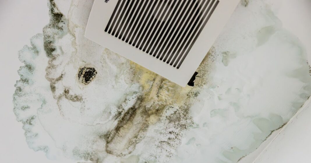 penész ellen házilag fehér fürdőszobai mennyezeten szellőzőrács, körülötte nagy kiterjedésű penészfolt