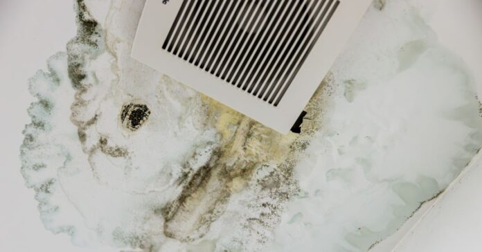 fehér fürdőszobai mennyezeten szellőzőrács, körülötte nagy kiterjedésű penészfolt