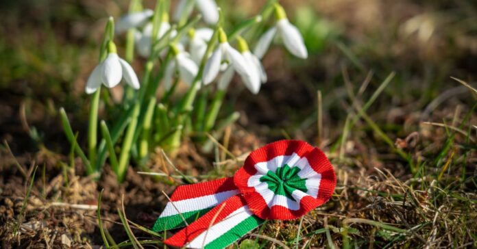 kokárda a fűben hóvirágokkal