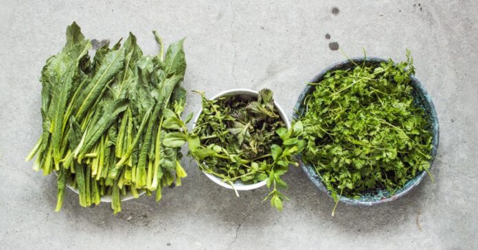 gyógynövények csokorban