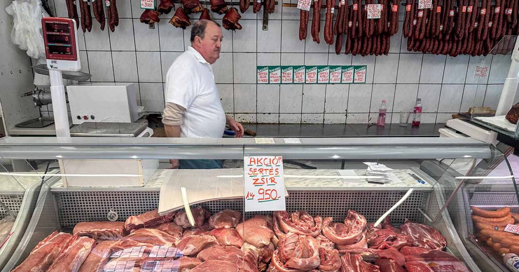 hentespult mögött hentes