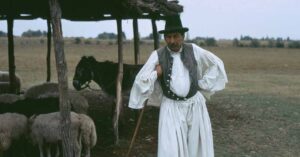 Magyar juhász
