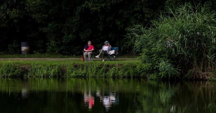 nyugdíjasok padon, zöldövezetben, tóparton