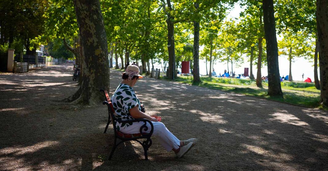 szalmakalapos idős fák alatti padon pihen