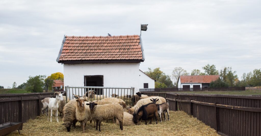 tanya Magyarországon