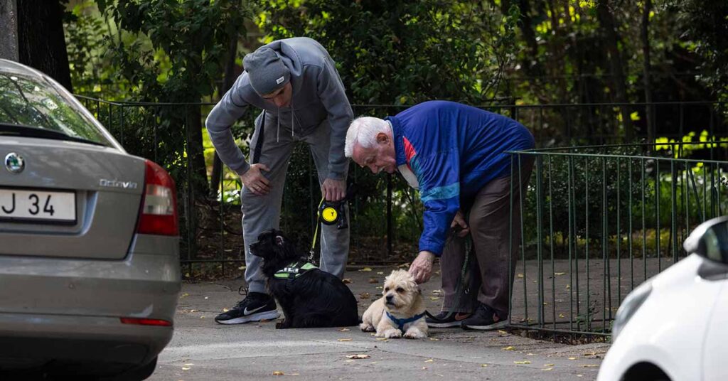 Nyugdíjas férfiak kiskutyával kint a parkban