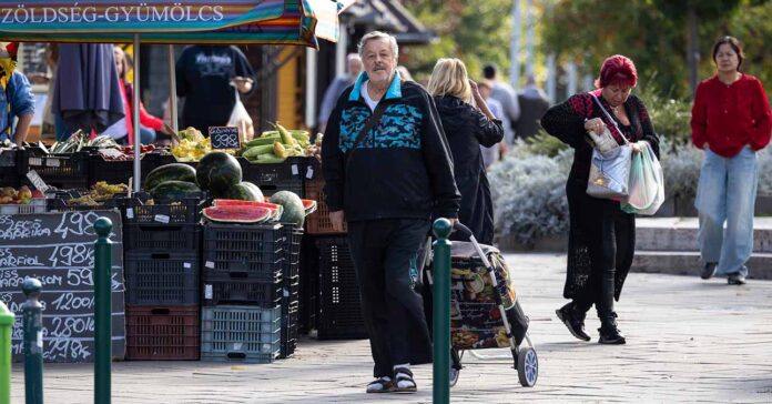 HOV-OST-292_piac-r piacon gurulós szatyorral egy idősebb férfi