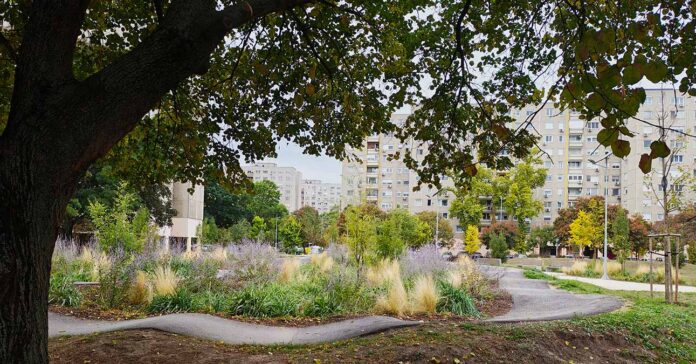 óbudai utcakép, előtérben növénytársítás, háttérben panelházak