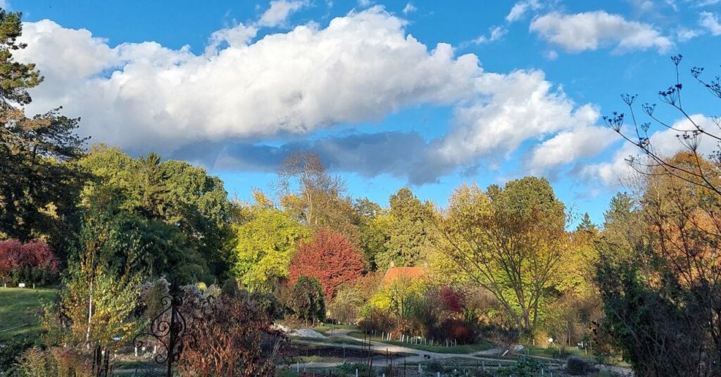 Nemzeti Botanikus Kert ősszel