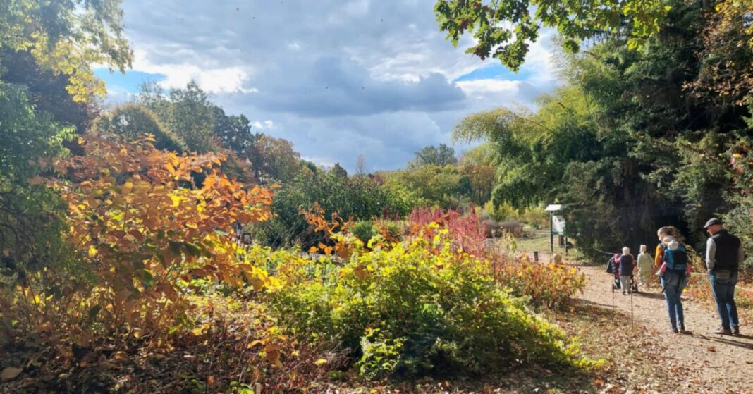 nemzeti-botanikus-kert-vacratot-rendszertanu-gyujtemeny Rendszertani gyűjtemény a vácrátóti rendszertani gyűjtemény