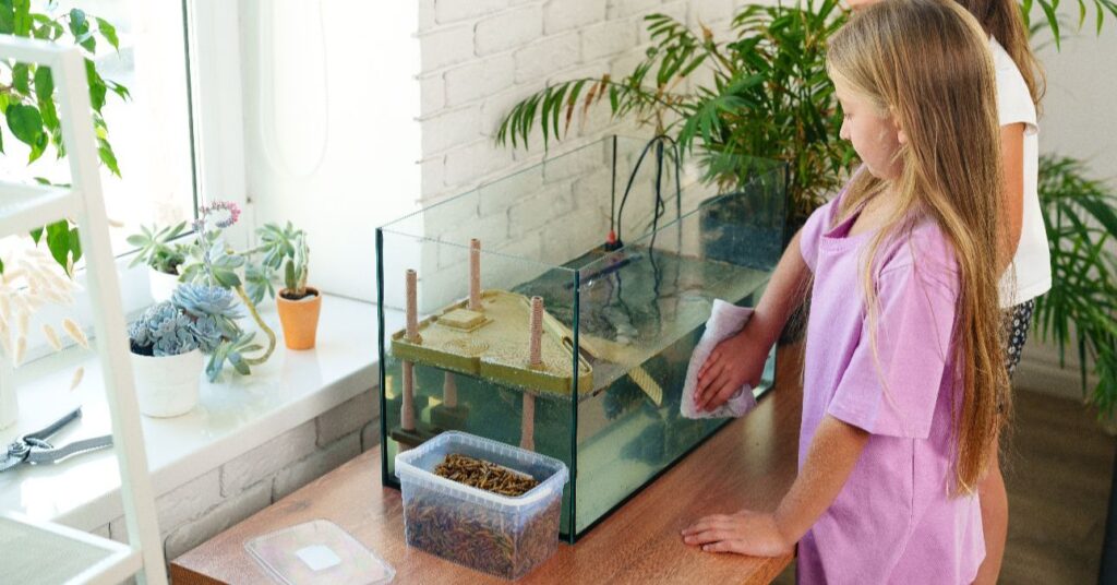 Akvárium tisztítása.