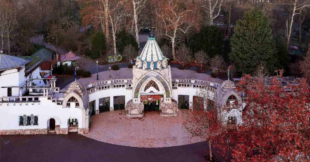 Fővárosi Állat- és Növénykert bejárata ősszel, felülnézetből