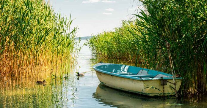 ponty-balaton-horgaszat Őszi pontyhorgászat és problémái