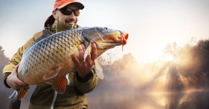 Legjobb horgászhelyek november során, ponty