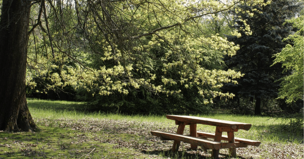 tiszaigari arborétum