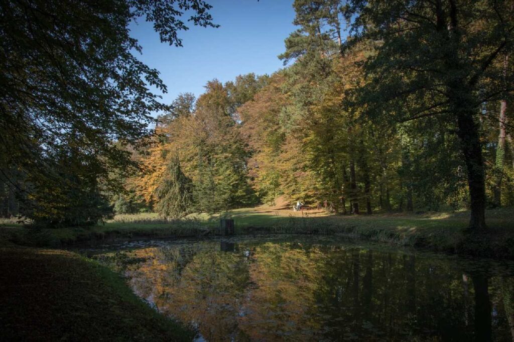 a Csácsbozsoki Arborétum, tó fákkal körülvéve