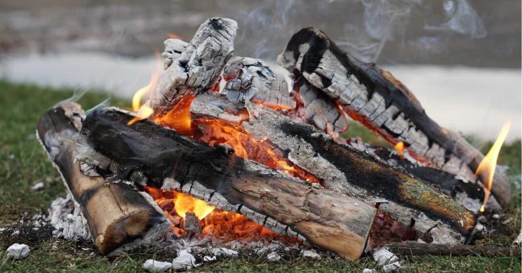 ingyen tűzifa igénylés