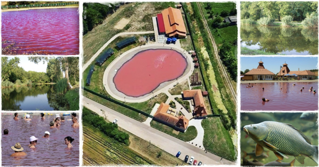 A pacséri gyógyfürdőről egy kollázs