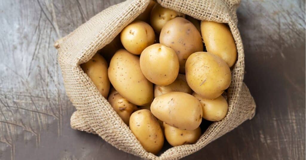 melyik krumpli mire való agat krumpli