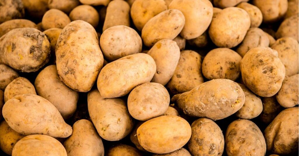 melyik krumpli mire való agri krumpli