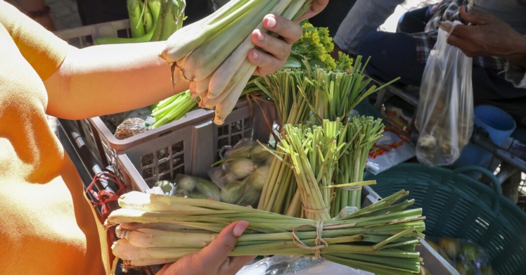 nő a piacon kezében tartja a citromnádat