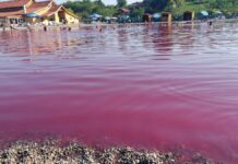 a pacséri gyógyfürdő lilás vize